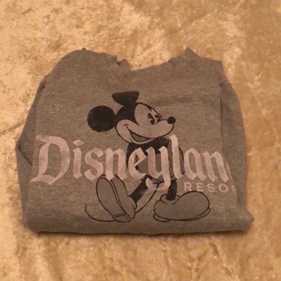 Disney Sweaters - Gray Disneyland resort sweater.